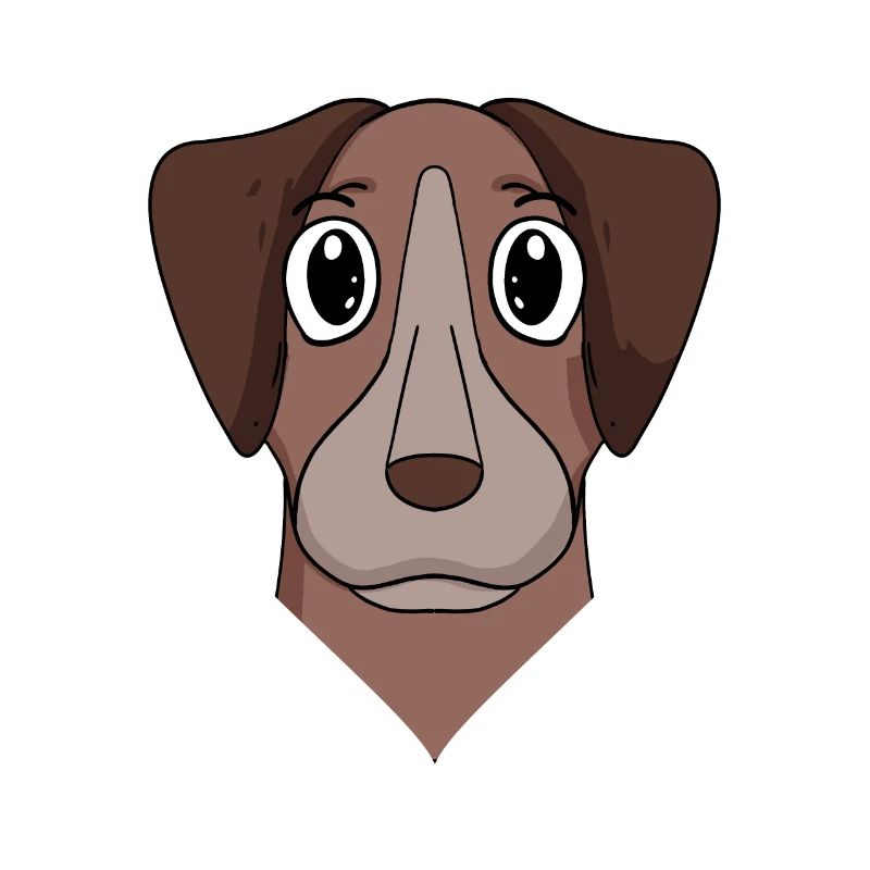 Pointer Hund Hunderasse