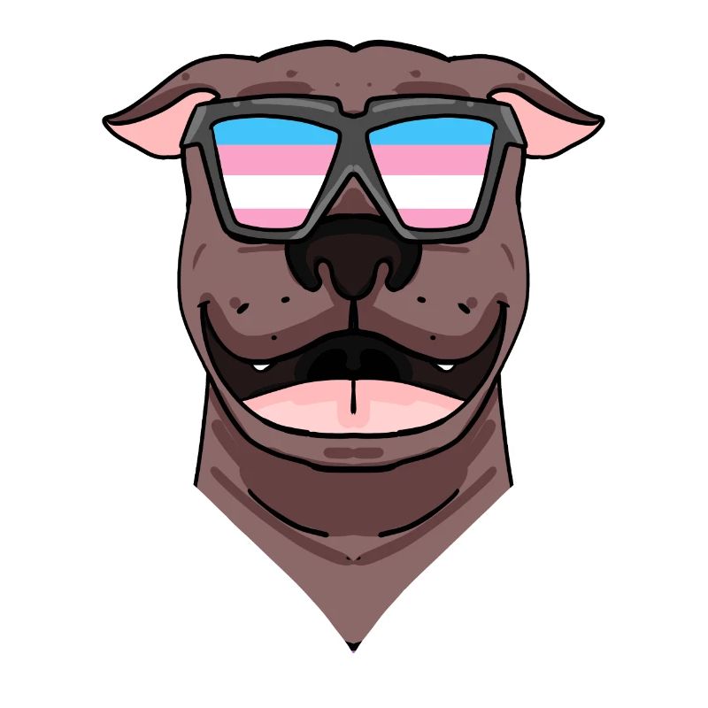 American Pit Bull Terrier