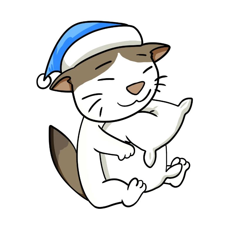 Chat race de chat RagaMuffin