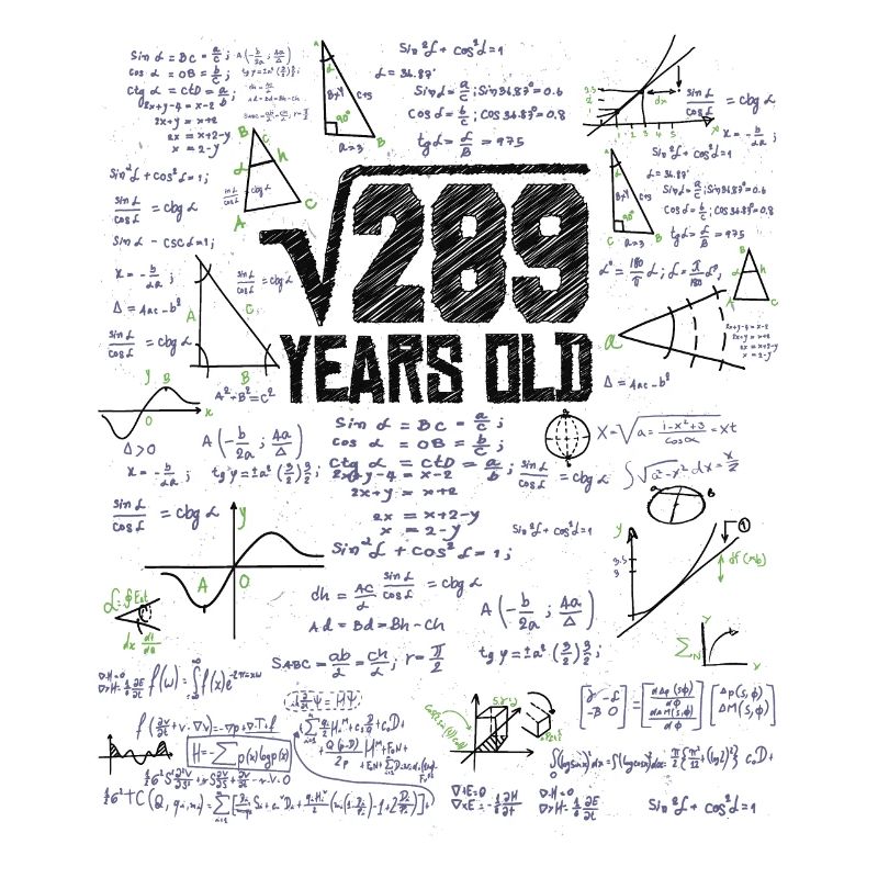 Square root of 289 math nerd 17th birthday