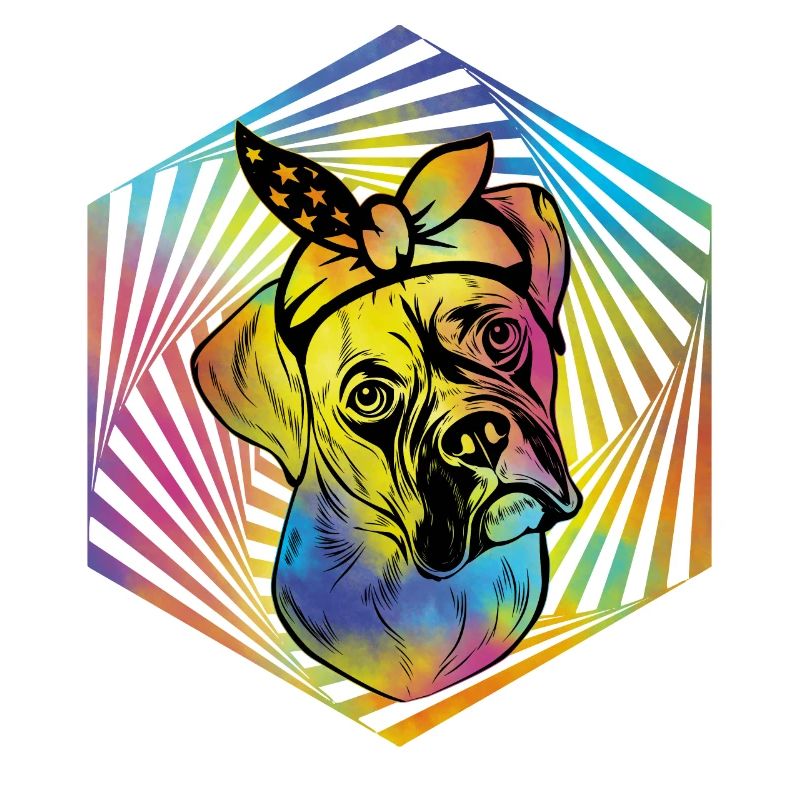Boxer