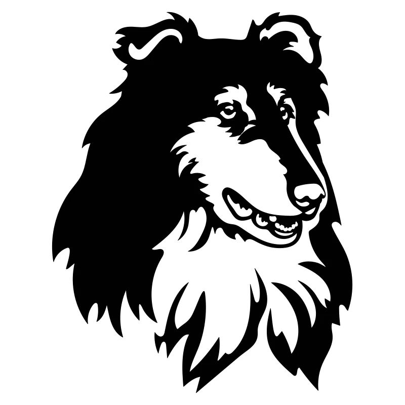 Tête de Collie