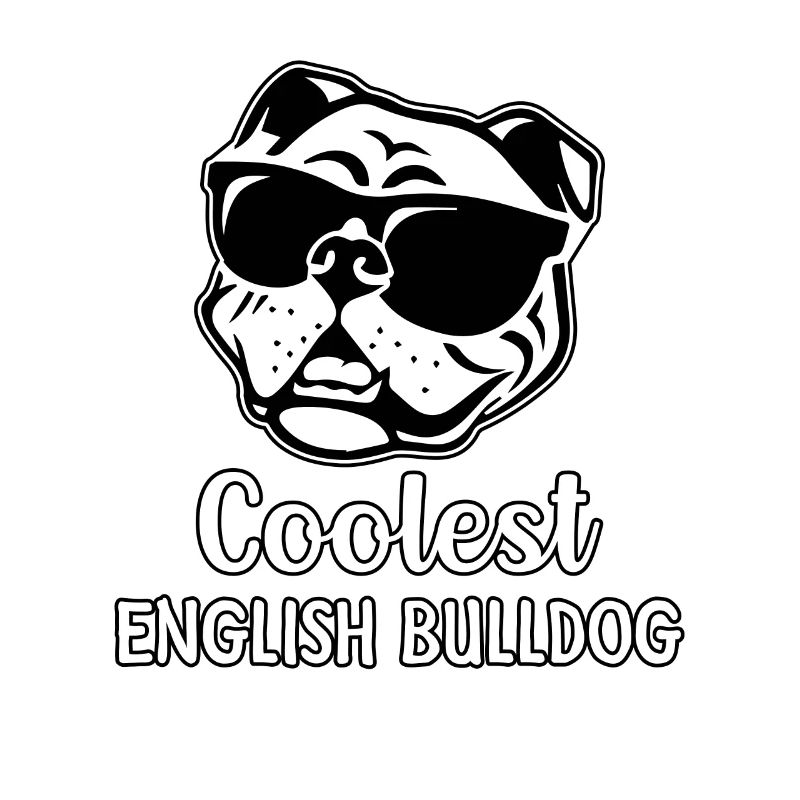 Le bouledogue anglais le plus cool
