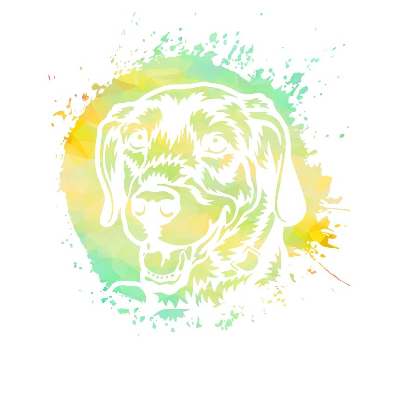 Labrador