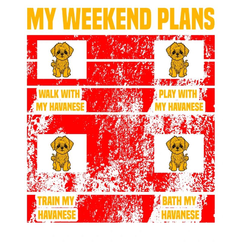 My Weekend plans Havanese