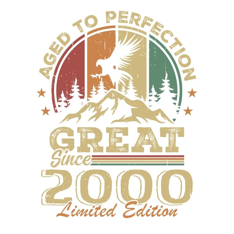 Vintage Geburtstag 2000 - Retro 2000 Geschenkidee