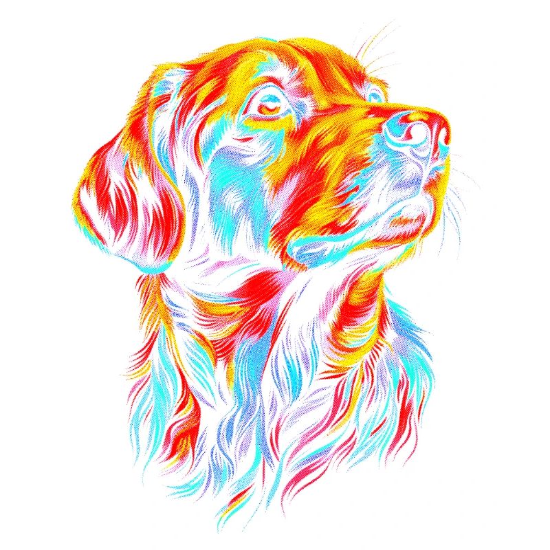 Hunde