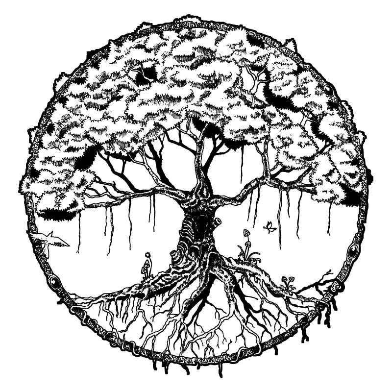 Baum