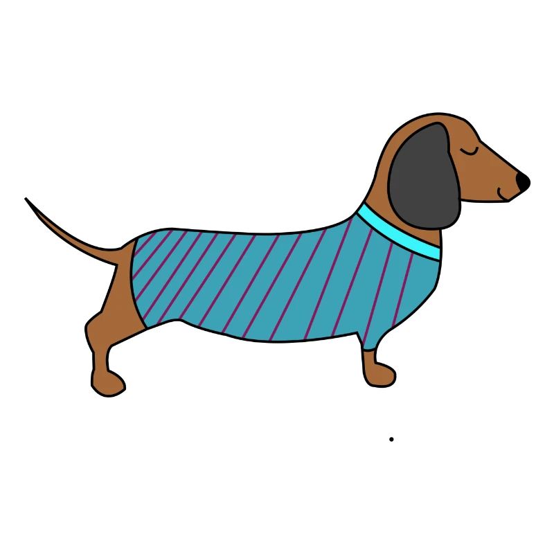 Dackel mit Pulli