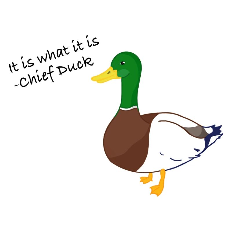 It is what it is Duck