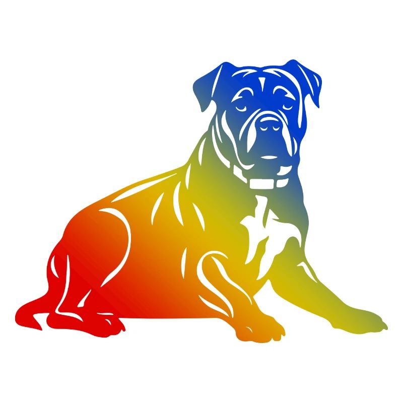 Pit Terrier Hund