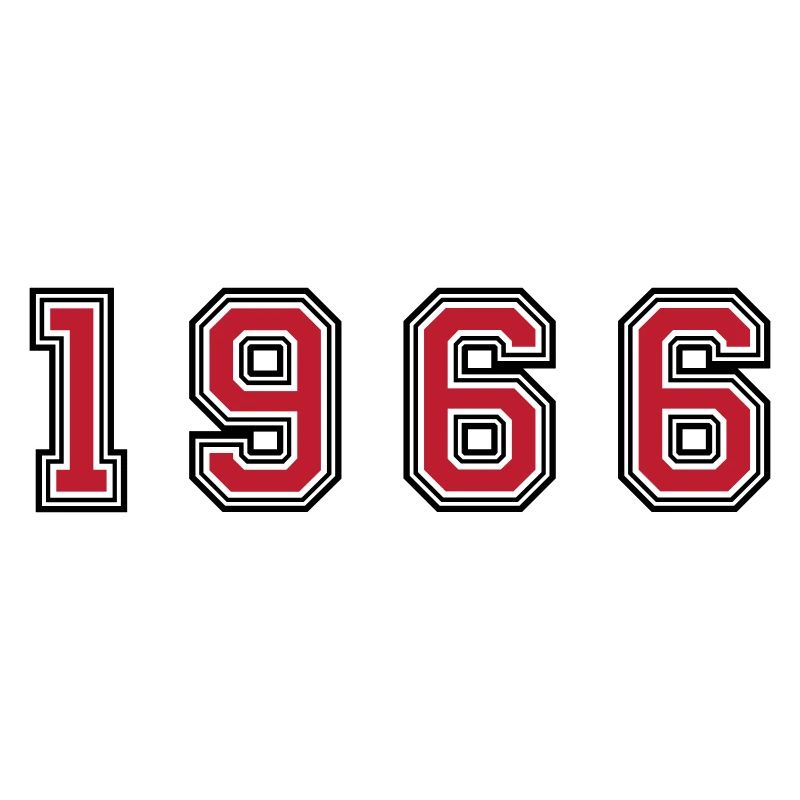 1966 year number