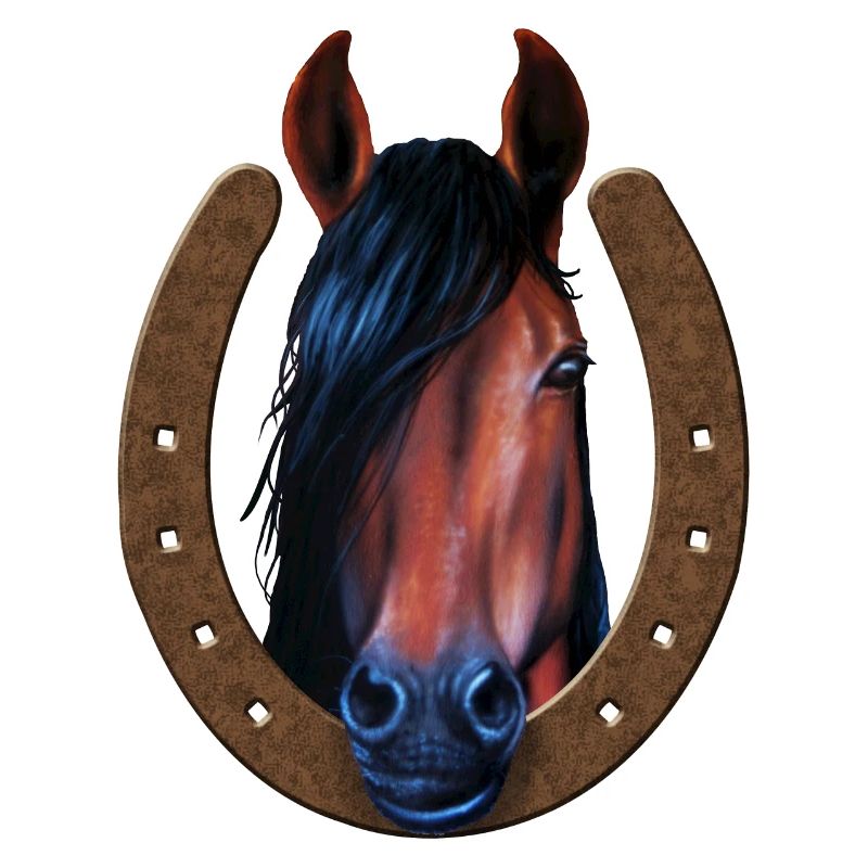 Pferd in Hufeisen