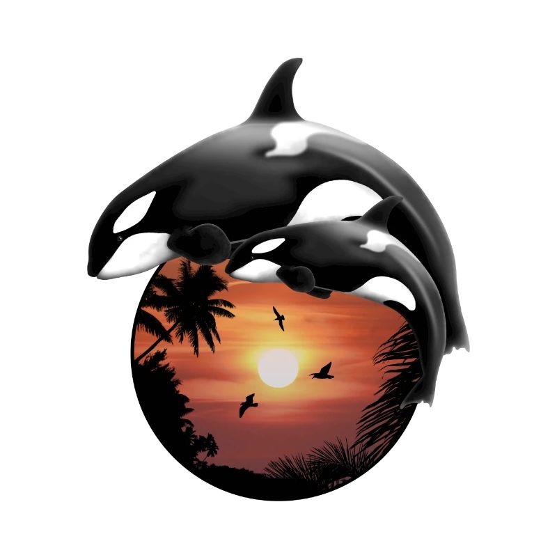Orca killer whale palm beach