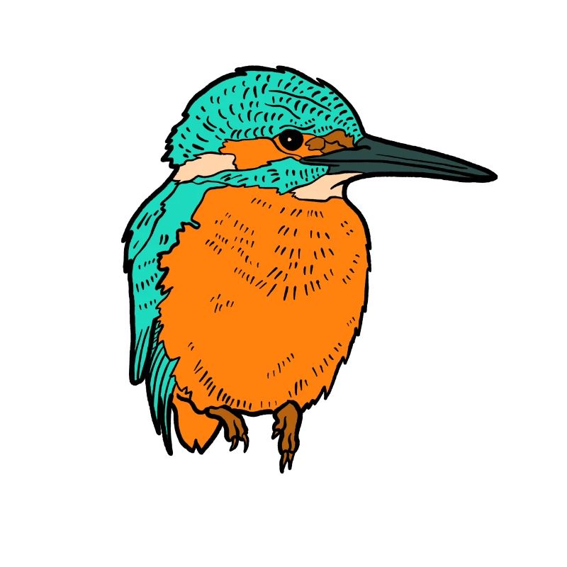 Eisvogel