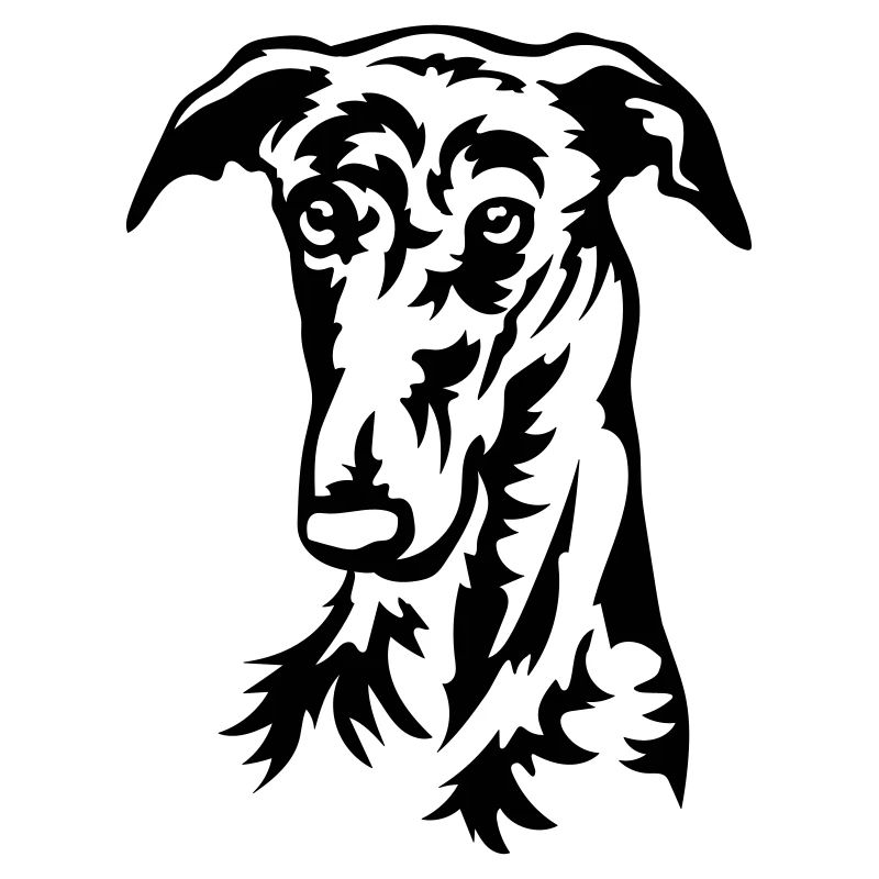 Galgo Kopf