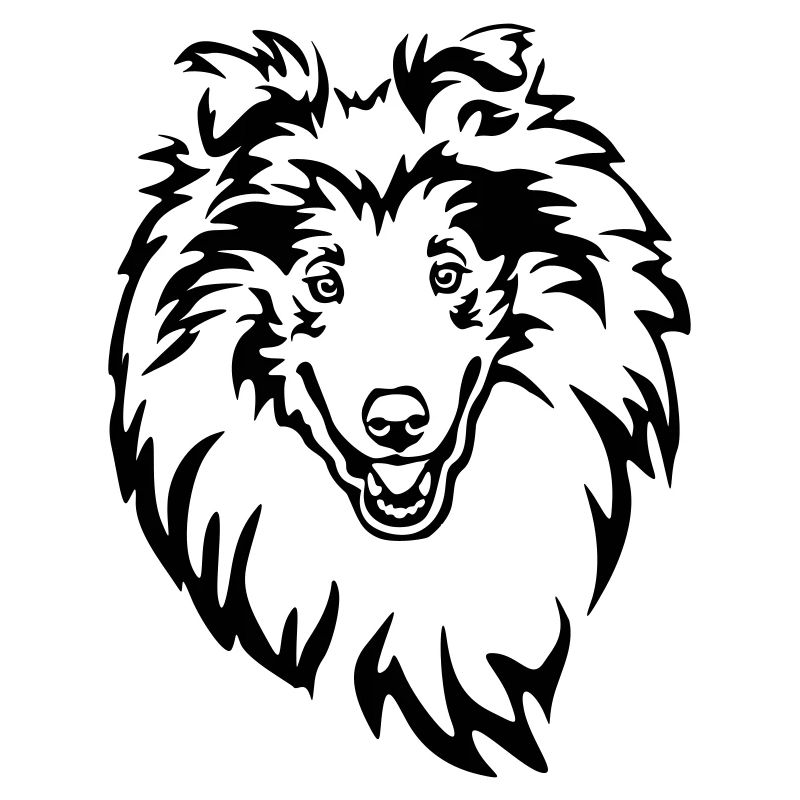 Tête de Collie