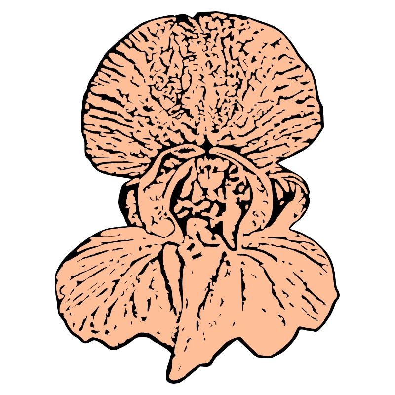 Muttertags Geschenk Mutter Muttertag Geschenkidee 