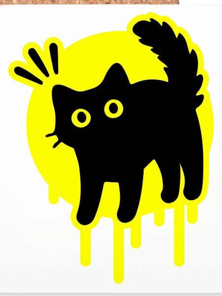 Kater Katze