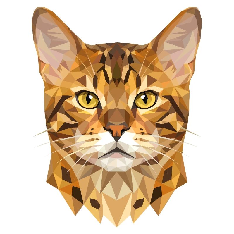 Chat léopard du Bengale, chat léopard, léopardette, chats du Bengale,