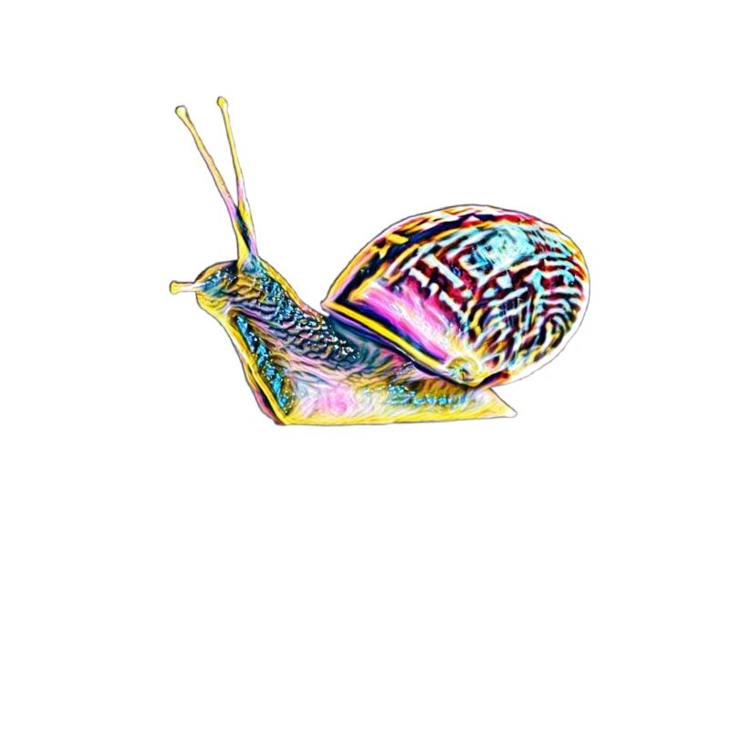 Schnecke