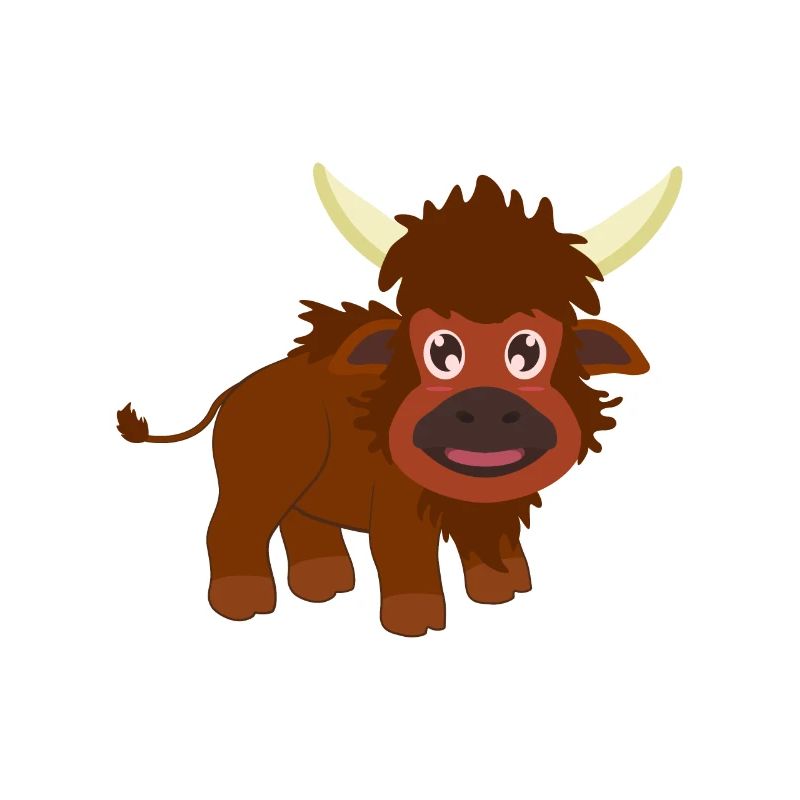 Bison Büffel