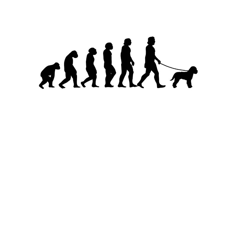Lagotto Romagnolo Evolution Chien de truffe cadeau