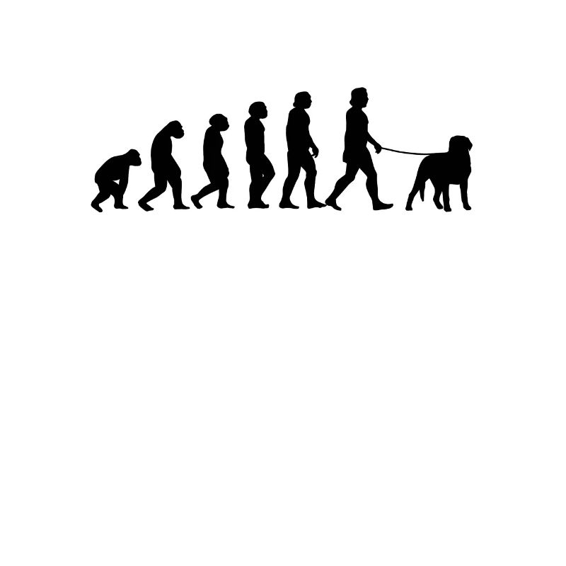 Schweizer Sennenhund Evolution Bauernhund Geschenk