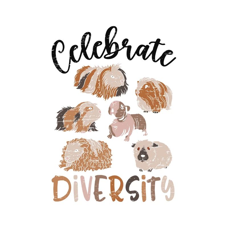 Variété - Drôle de cochon d’Inde-nice