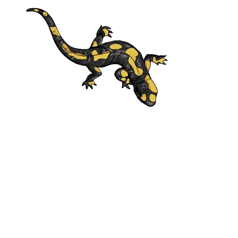 Zeichnung eines Feuersalamander