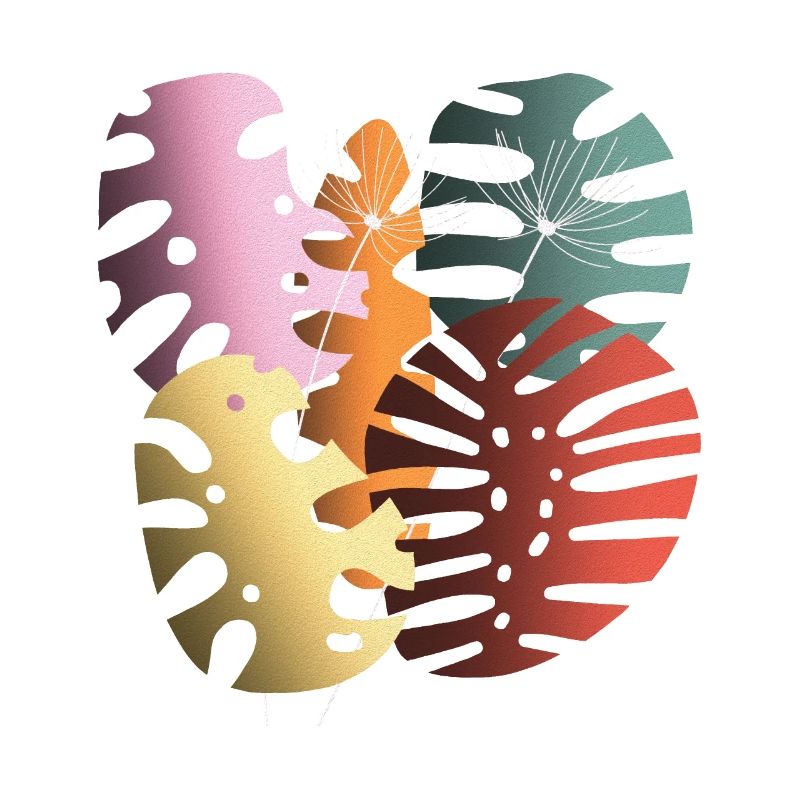 Monstera quitte Boho Design Boho Monstera