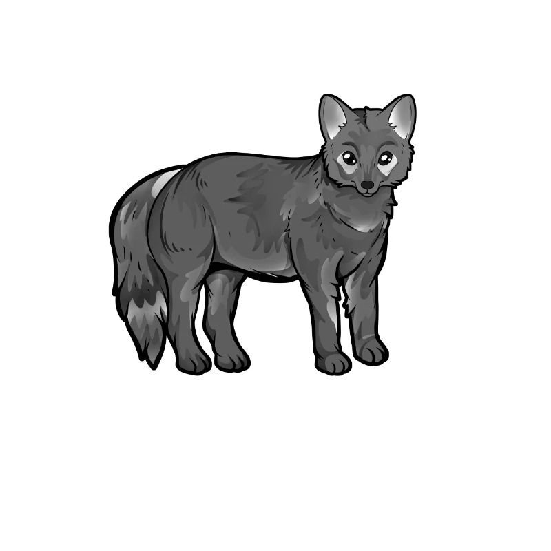 Dessin d’un Maikong