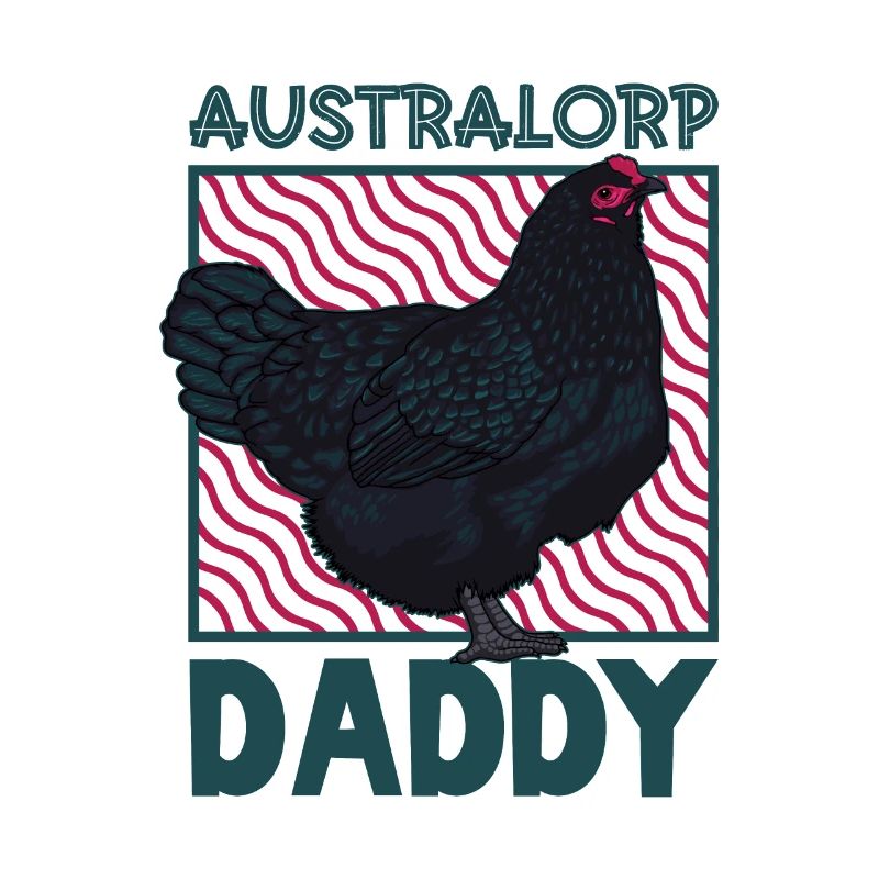 Australorp Papa