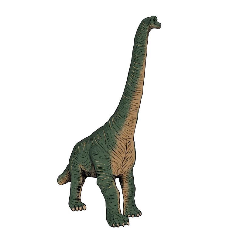 Zeichnung des Brachiosaurus