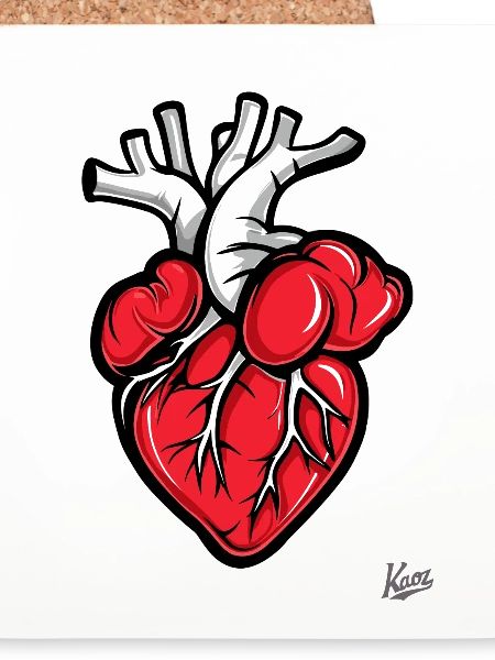 Anatomie Herz