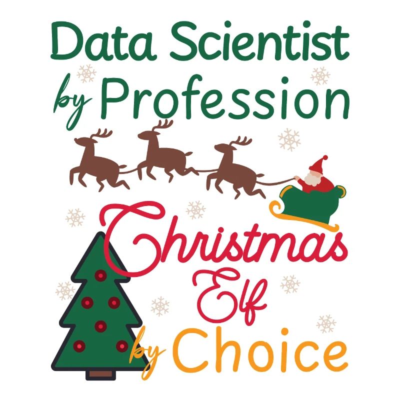 Data Scientist Noël Elfe de Noël