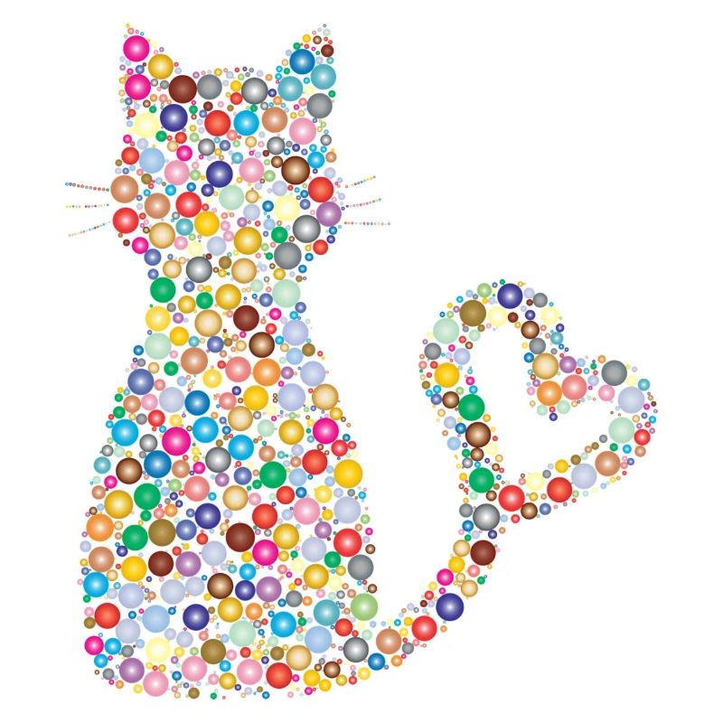 Katze Geschenk