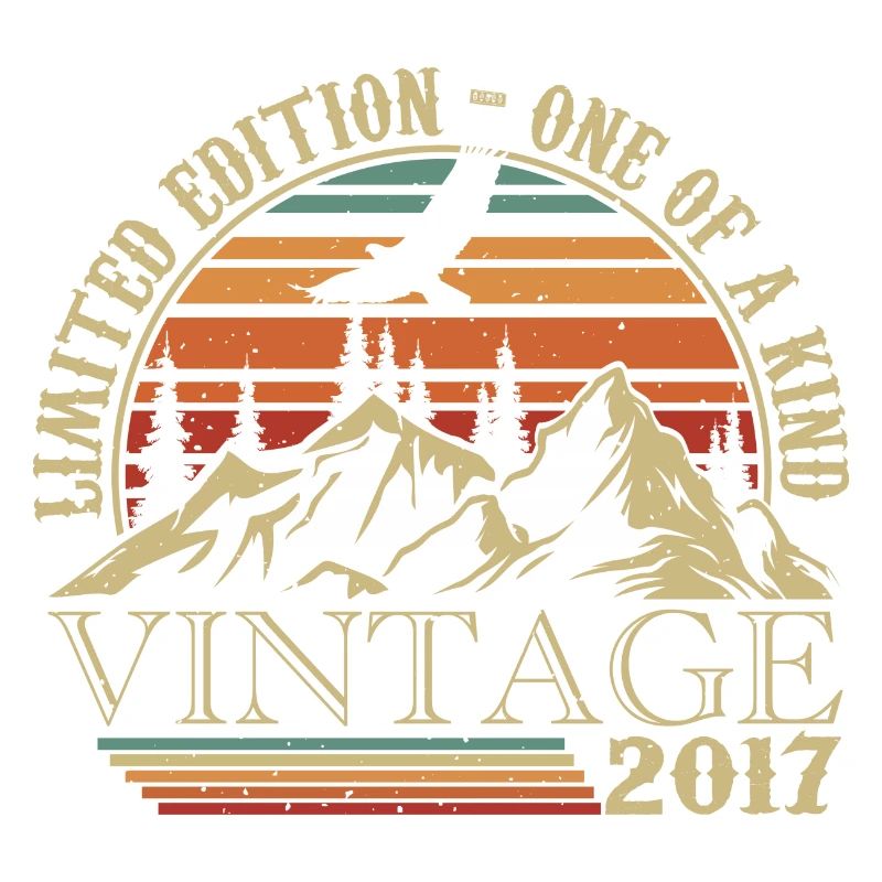 2017 Vintage Retro 2017 Anniversary Gift