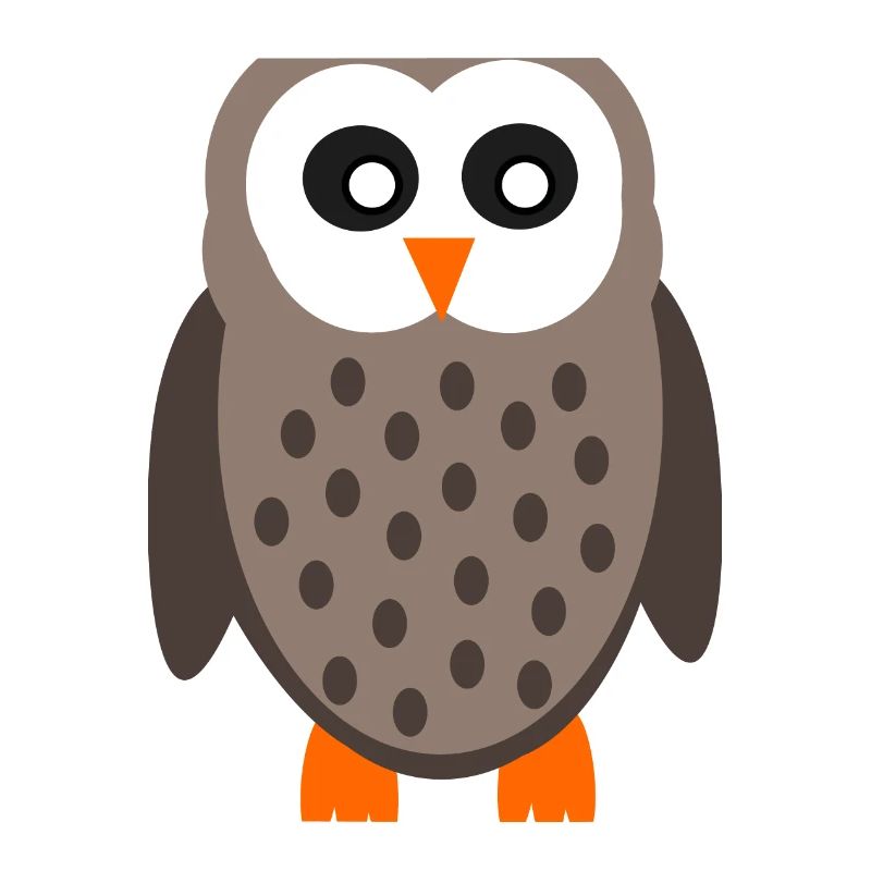lustige Eule Eulen T-shirt 
