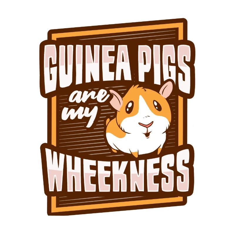 Cochon d’Inde Wheek Amateurs de cochon d’Inde