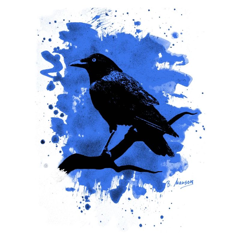 Crow bleached blue
