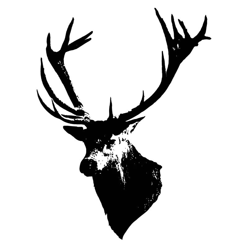 Hirsch