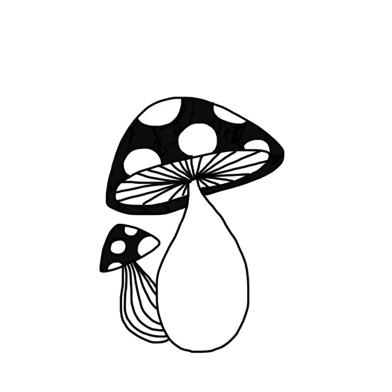 Pilze