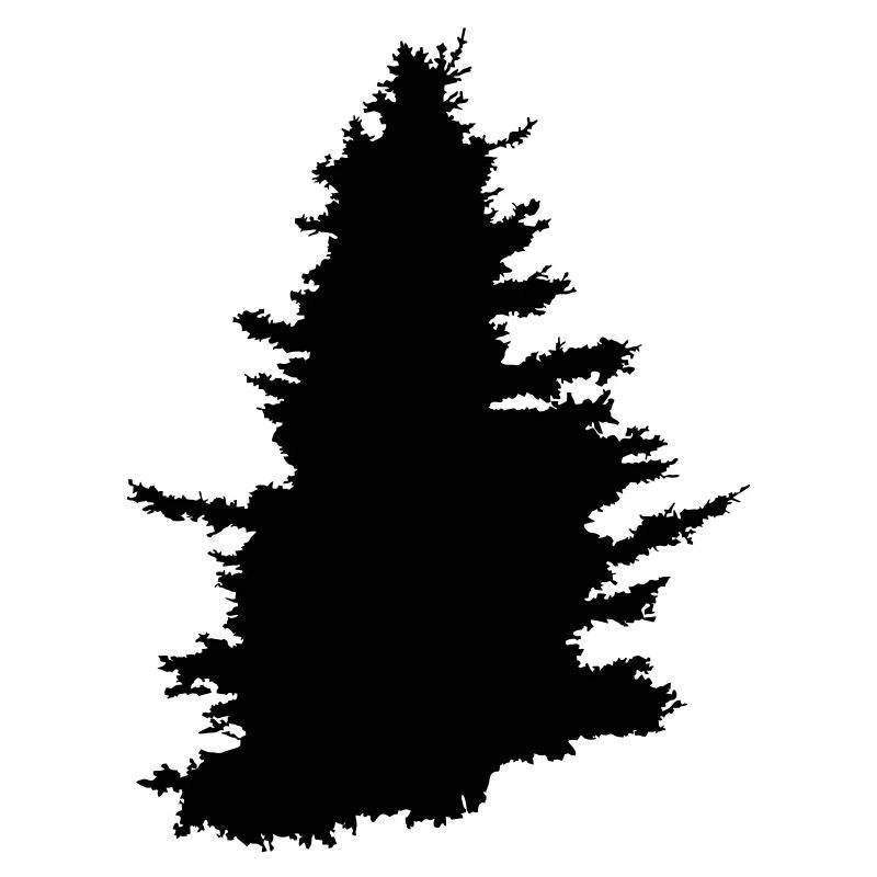 Baum, Nadelbaum, Wald