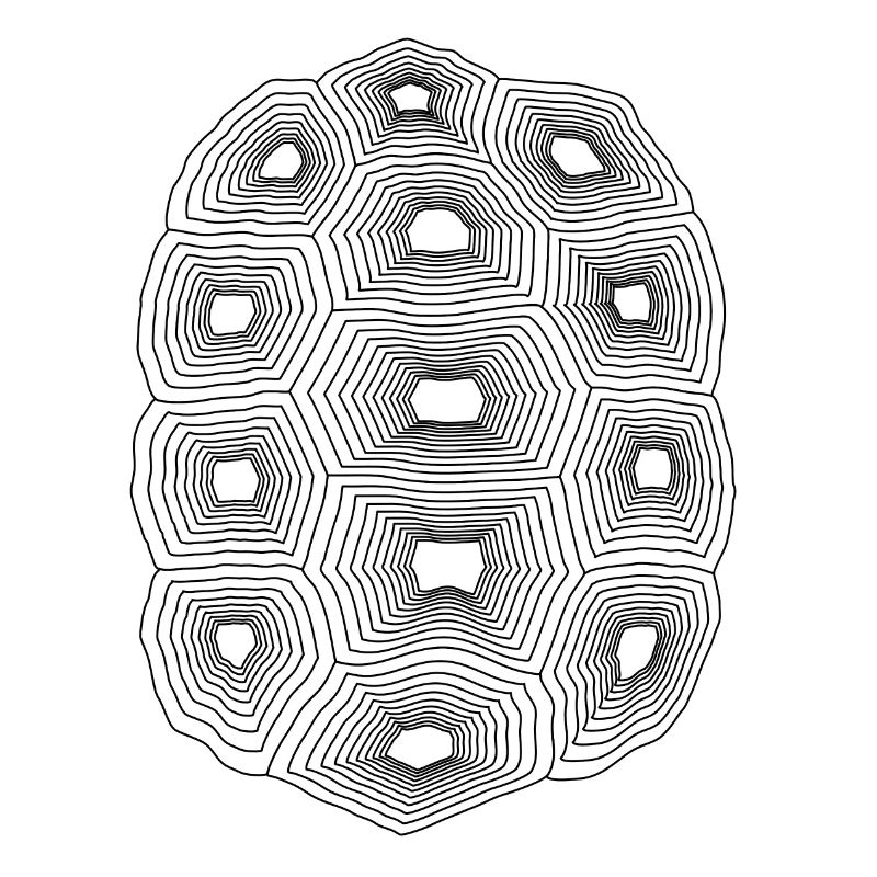 Turtle tank structure lines gift