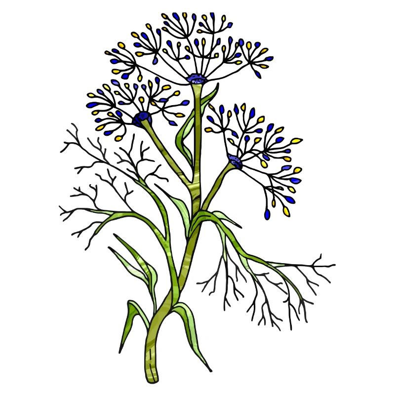 fleurs