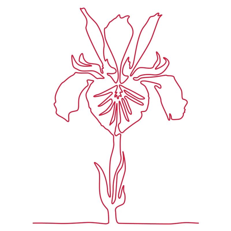 Iris