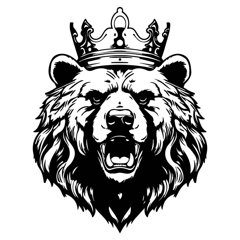 Bear Grizzly Crown King