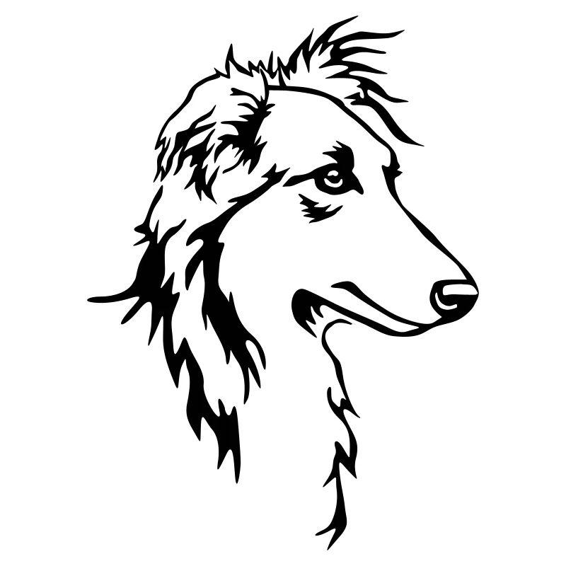 Long hair whippet head