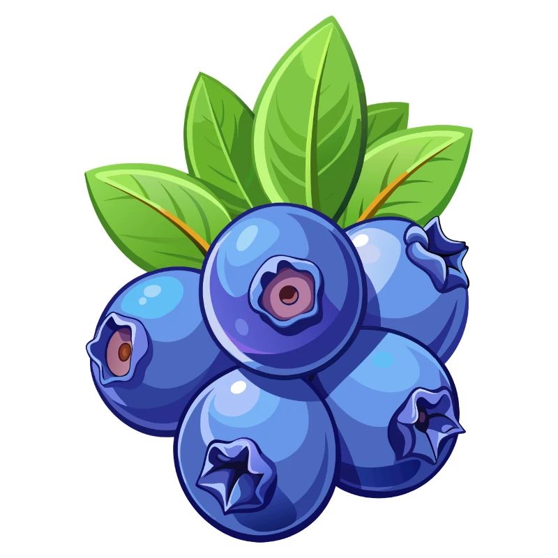 Blaubeeren